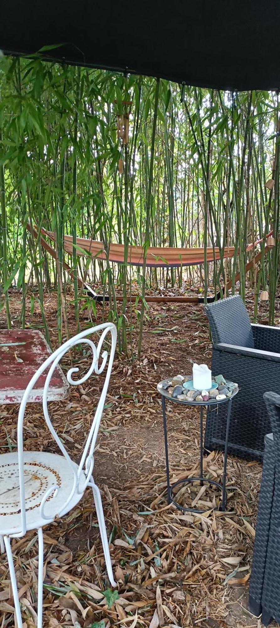 Chambre D'Hote Dans Maison Atypique Possibilite 1 Lit Supplementaire Pour 15 Euros Sancoins Exterior foto